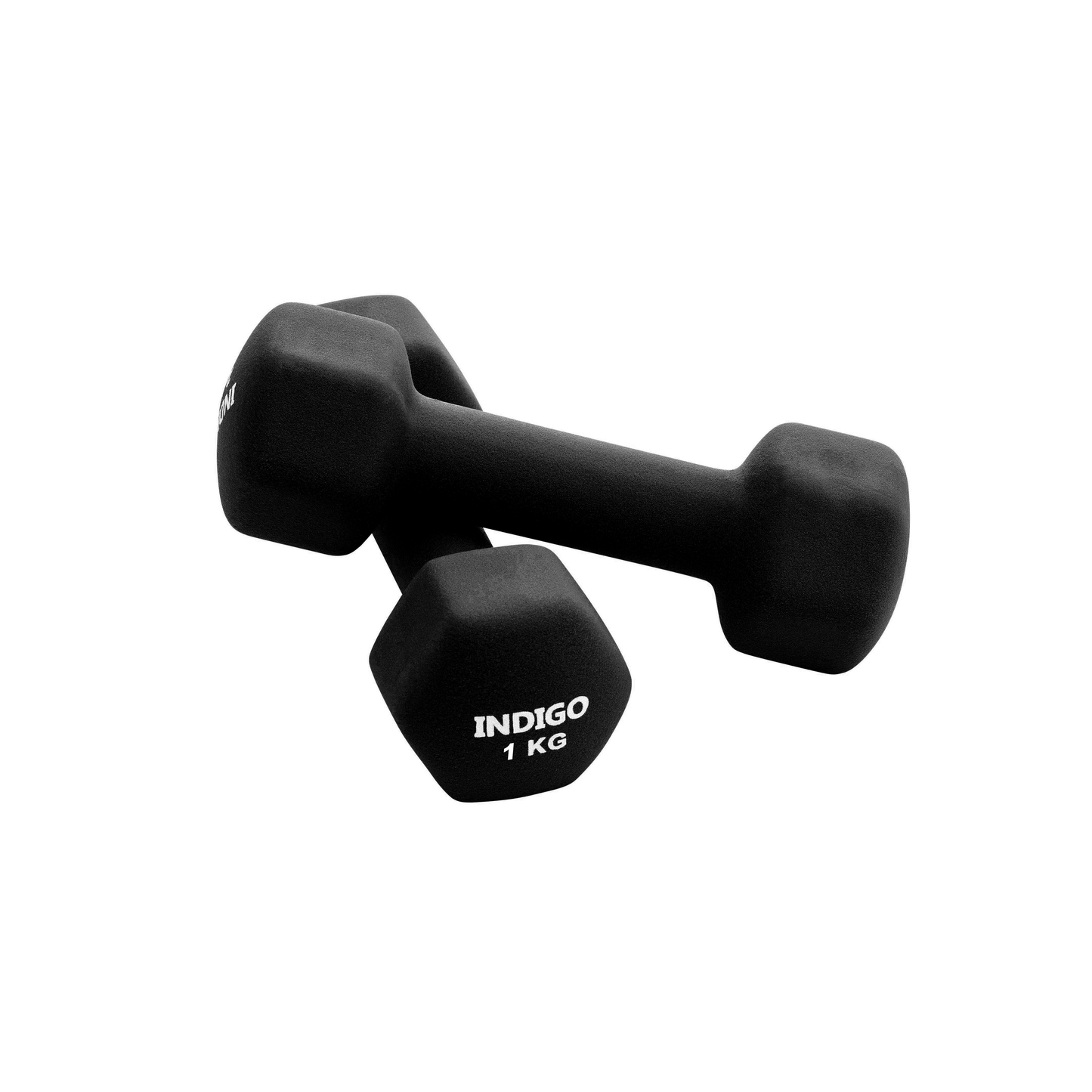 Mancuernas Hexagonales de Neopreno INDIGO