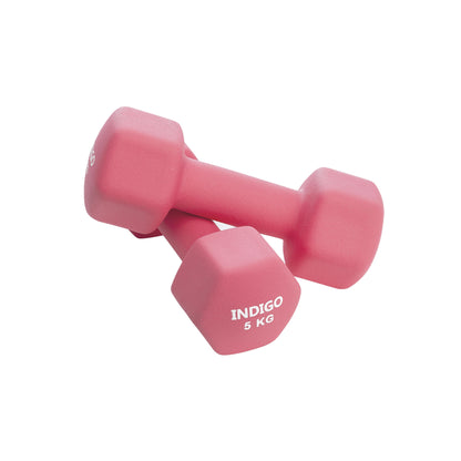 Mancuernas Hexagonales de Neopreno INDIGO